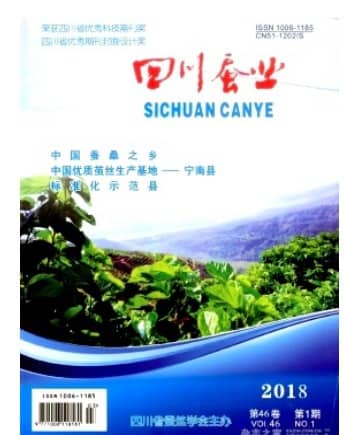 四川蚕业