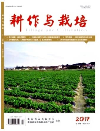 耕作与栽培