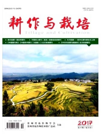 耕作与栽培
