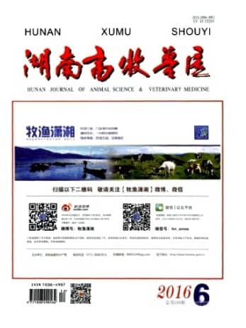 湖南畜牧兽医
