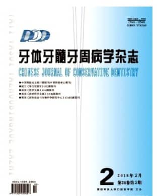 牙体牙髓牙周病学