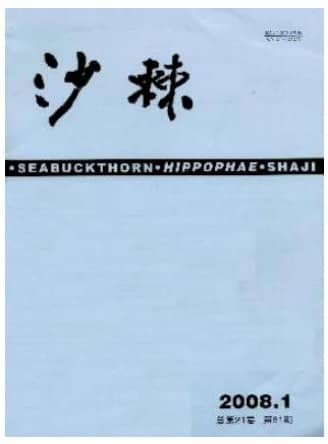 沙棘