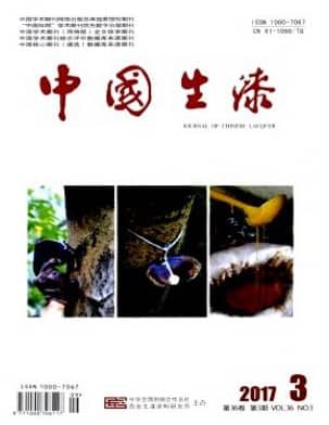 中国生漆