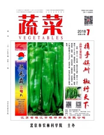 蔬菜