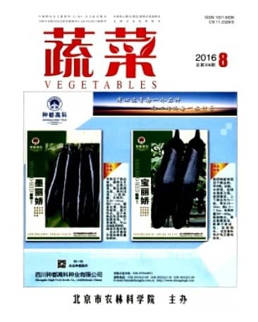蔬菜