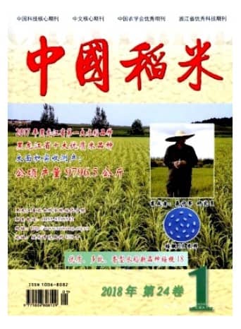 中国稻米