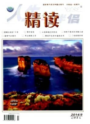 人生与伴侣