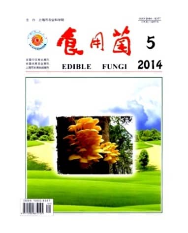 食用菌