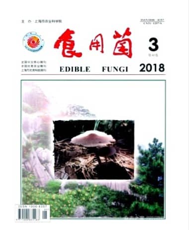 食用菌