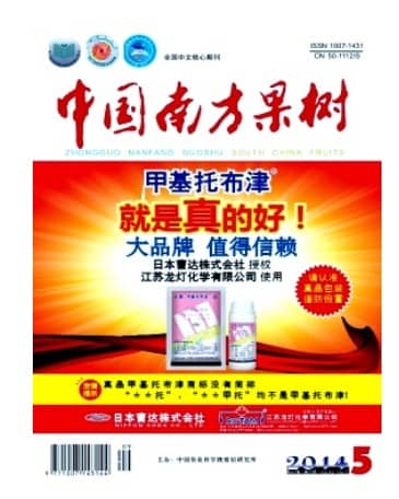 中国南方果树