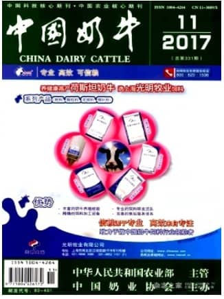 中国奶牛