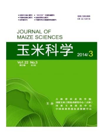 玉米科学