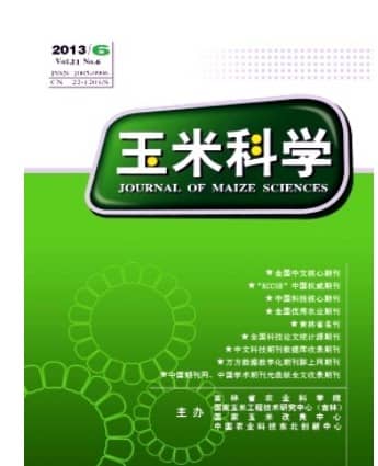 玉米科学