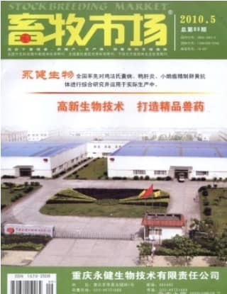 畜牧市场