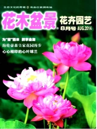花木盆景