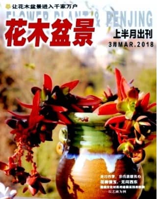 花木盆景