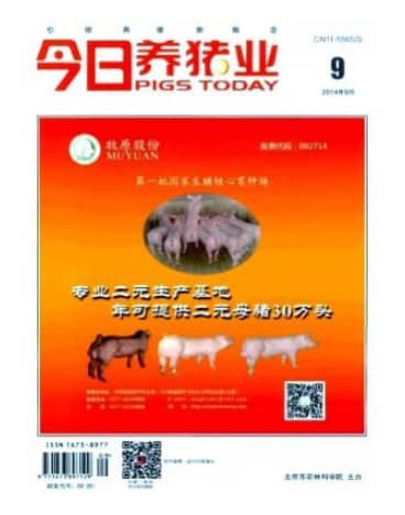 今日养猪业
