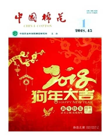 中国棉花
