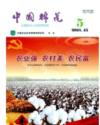 中国棉花