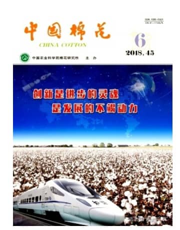 中国棉花