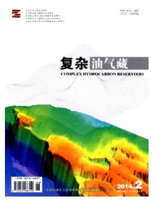复杂油气藏