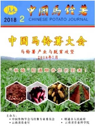 中国马铃薯
