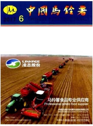 中国马铃薯
