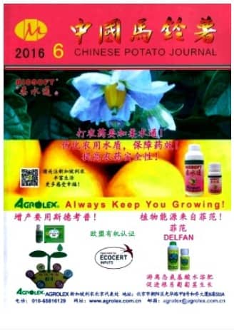 中国马铃薯