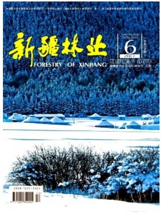 新疆林业