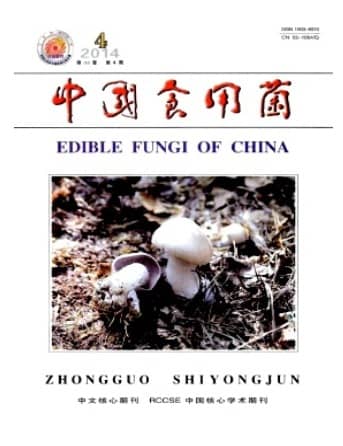中国食用菌