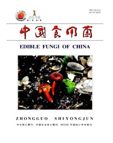中国食用菌