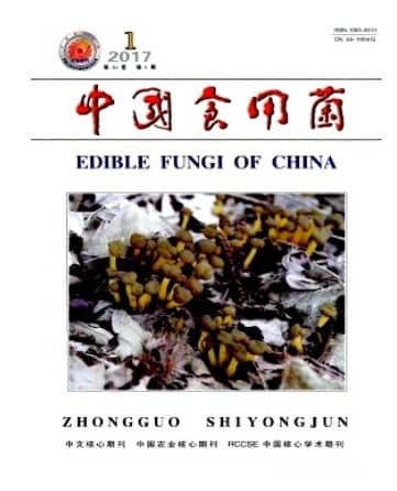 中国食用菌