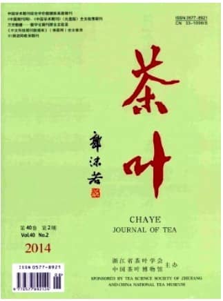 茶叶