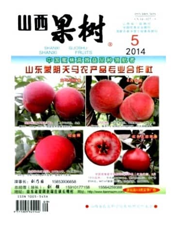山西果树