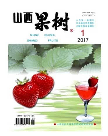 山西果树