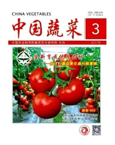 中国蔬菜