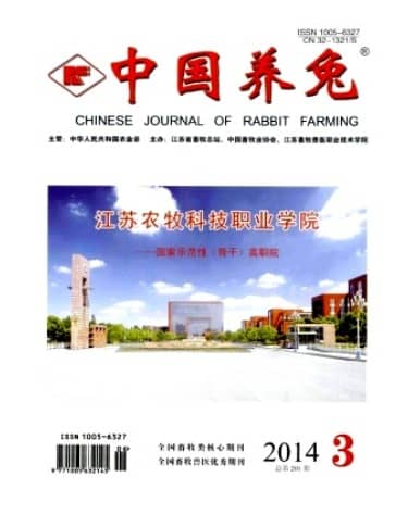 中国养兔