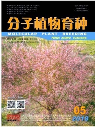 分子植物育种
