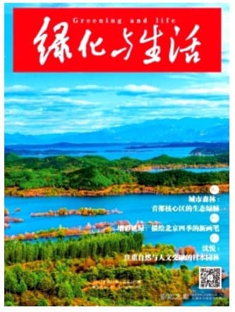 绿化与生活