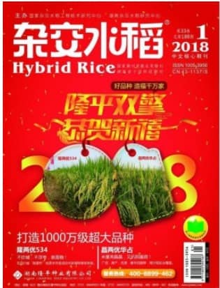 杂交水稻