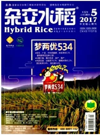 杂交水稻