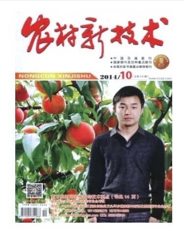 农村新技术