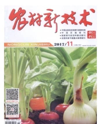 农村新技术