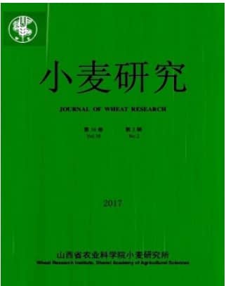 小麦研究