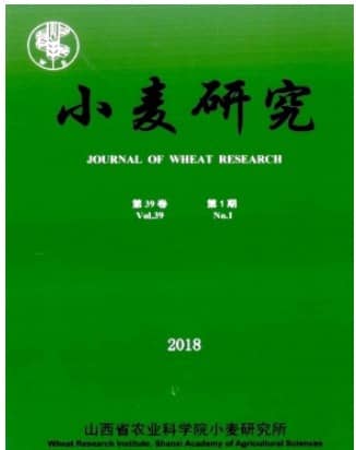 小麦研究
