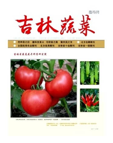 吉林蔬菜