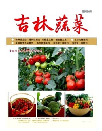 吉林蔬菜