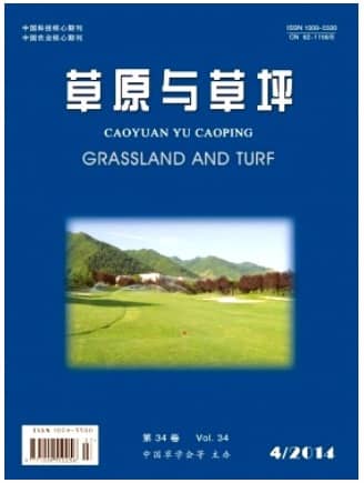 草原与草坪