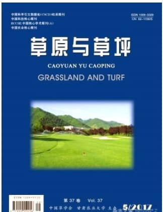 草原与草坪