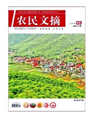 农民文摘